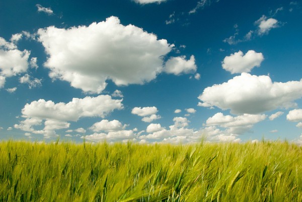 How Cloud Computing Is Helping Green Businesses