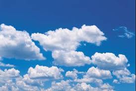 Cloud Computing: As Businesses Move to the Cloud, Private Clouds Gain Popularity
