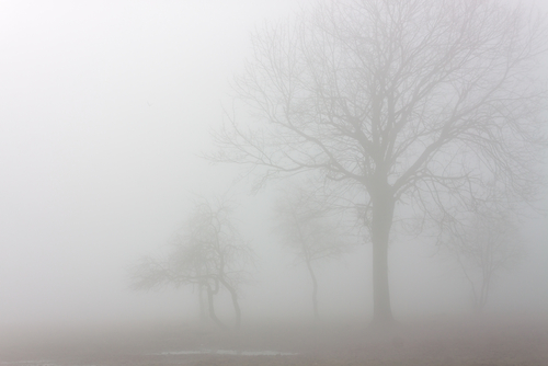 Fog Computing Is A New Concept Of Data Distribution