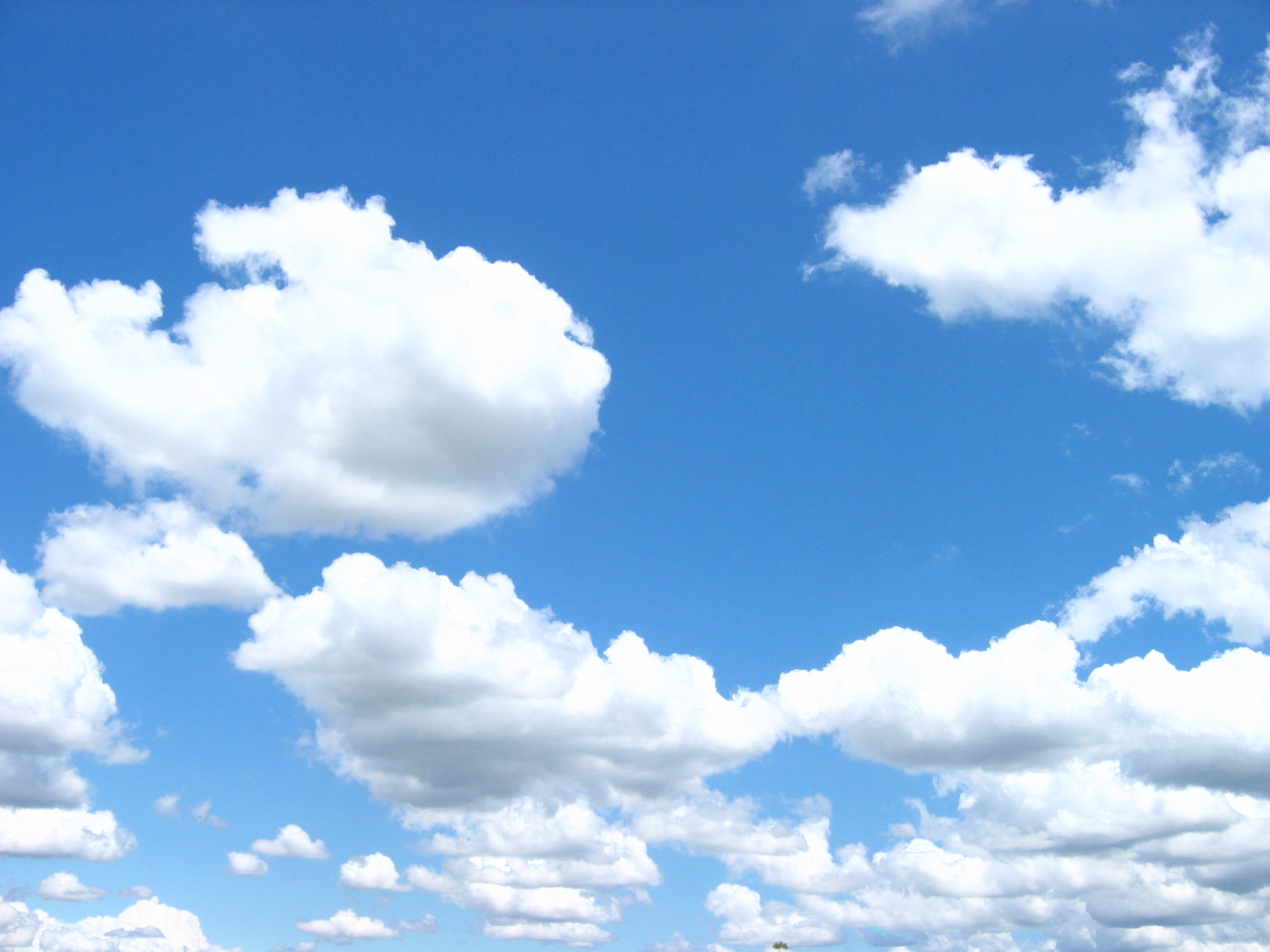 SCMSP Expands Cloud Computing Capabilities Meeting Market Demands
